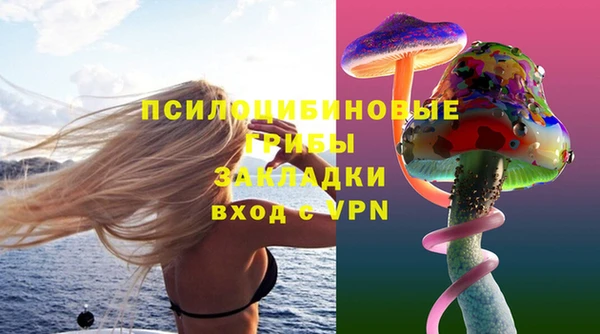 прущие крисы Аркадак