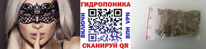 Бошки марихуана VHQ Сельцо